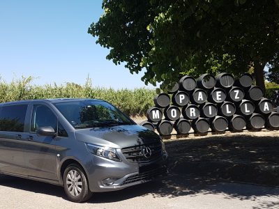 Transfers algarve van